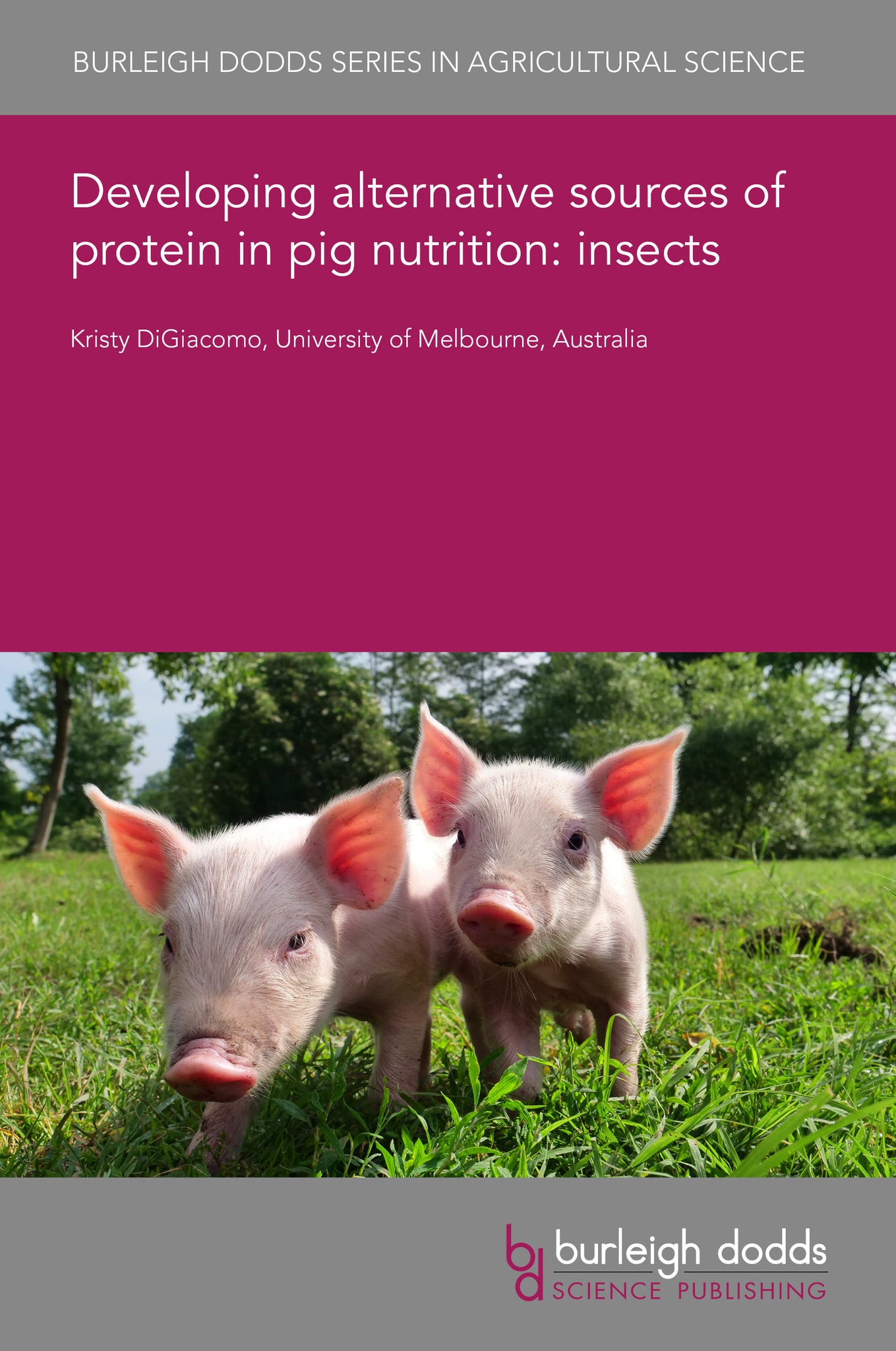Developing alternative sources of protein in pig nutrition: insects
